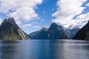 NZ 2006